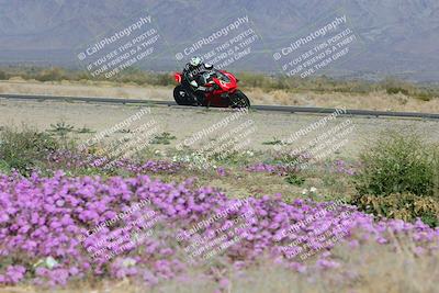 media/Feb-04-2023-SoCal Trackdays (Sat) [[8a776bf2c3]]/Turn 15 Inside Blooming (1050am)/